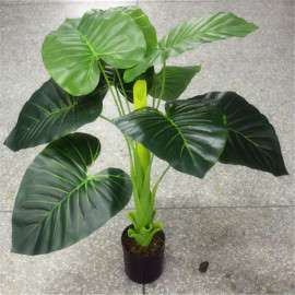 厂家热销假树绿植 仿真滴水观音 绿宝石植物盆栽 室内植物树摆设