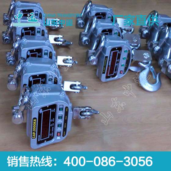 打印型吊钩秤 供应打印型吊钩秤