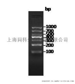 同科生物|DNA分子量标准 1000