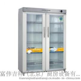 亿高YTD800B低温臭氧加红外线消毒柜 双玻璃门不锈钢消毒柜