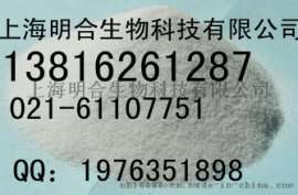 上海供应厂家最低价预糊化淀粉食品级
