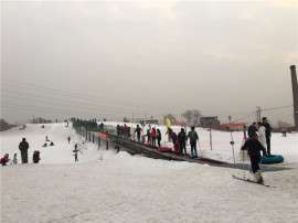 河南雪地魔毯_简单舒适的魔毯厂家