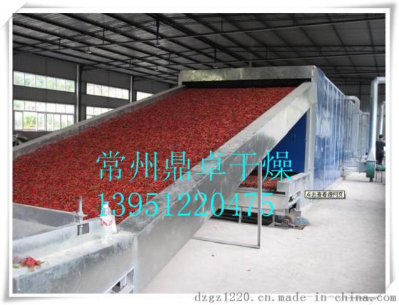 鼎卓专业定做辣椒烘干机 蔬菜烘干机 带式干燥机 果蔬加工烘干设备