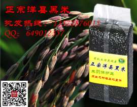 洋县黑米黑米粥米原产厂家批发