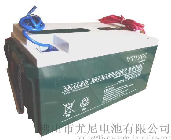 沃塔12V65AH深循环蓄电池