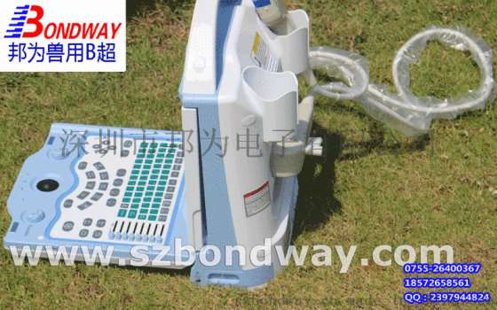 宠物医疗设备 宠物医疗仪器 畜牧设备 畜牧医疗设备 畜牧医疗仪器 兽用B超