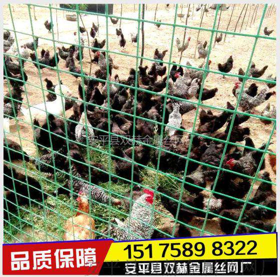 草场围栏网 1.2米畜牧围栏 镀锌铁栅栏