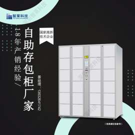 微信扫码电子存包柜  厂家直销 可定制