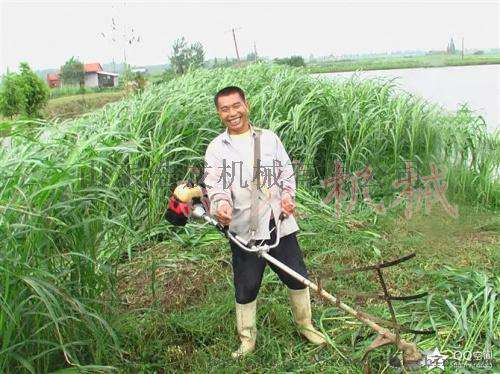 供应山地割草机价格，养殖农用割草机