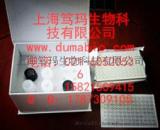 小鼠游离睾酮(F-TESTO)ELISA试剂盒