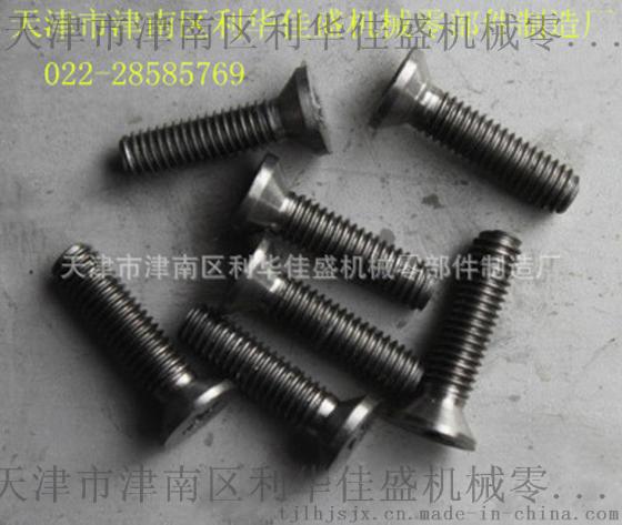 沉头钛螺丝，专业钛螺丝，工业钛螺丝