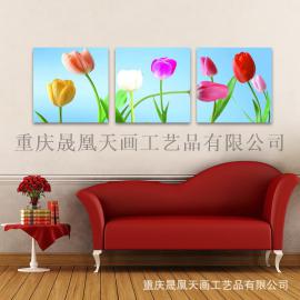 供应优质装饰画 水晶画无框画工艺壁画 字画 支持小额批发