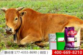 5%肉牛快速出栏预混料