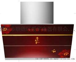 超强吸力 油烟机   方太 T22        双电机