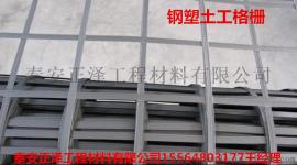 钢塑复合土工格栅厂家良心用料行家最佳的选择