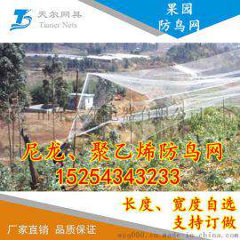 批发防鸟网果林防护网桃园防鸟网图片厂家