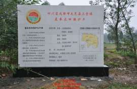 彩瓷壁画陶瓷板砖画定做加工！
