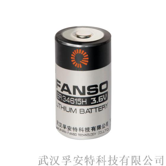 ER34615孚安特 19000mah 1号D型 3.6v锂亚电池 ER34615H