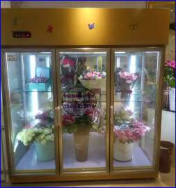 三开门鲜花柜尺寸,黄山花材花束冷藏柜
