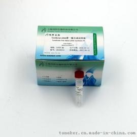 ToneScript cDNA 第一链合成试剂盒