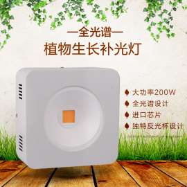 大棚补光灯 深圳植物生长灯工厂 多肉植物补光灯 批发 200W COB