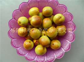 北方产地早熟鲜枣密集上市