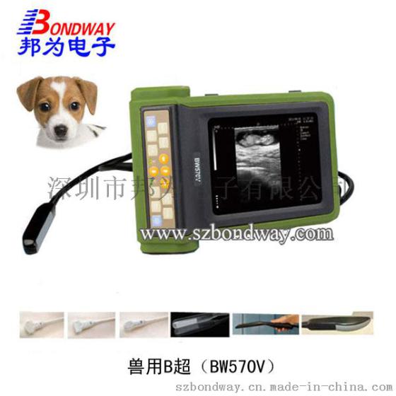 BW570V 兽用B超 高清B超机 动物园医疗设备 畜牧医疗器械 繁殖业器械 宠物医疗