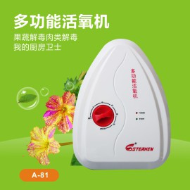 斯特亨多功能臭氧机A-81 厂家报价