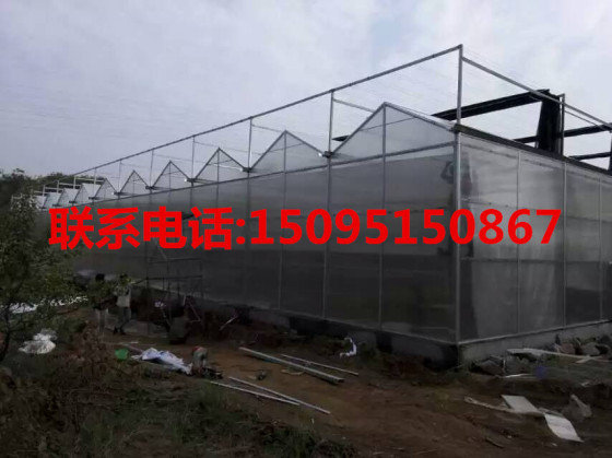 甘肃建造文洛式阳光板温室最权威的厂家