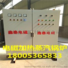 鲁贯通0.3吨电磁加热导热油炉采用自动控制安全方便