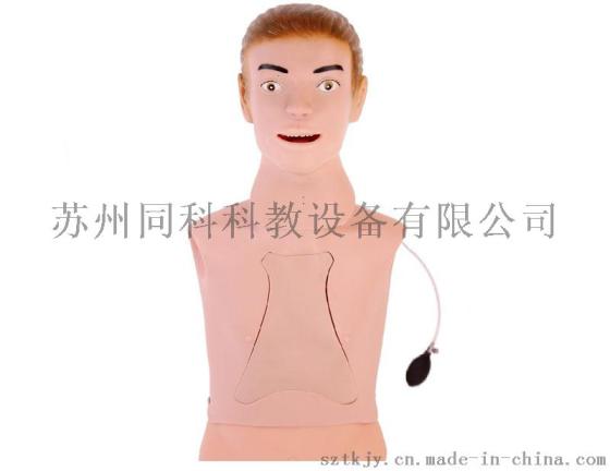 高级鼻饲管与气管护理模型