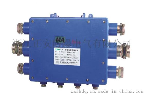 【正安防爆】电路本安接线盒 JHH-10（A） 防水电源接线盒批发