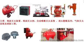 泡沫比例混合器 泡沫灭火装置