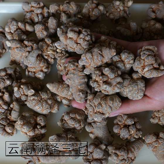 云南三七产地在哪里，野生三七主要产地，三七种植基地，三七哪个产地最好