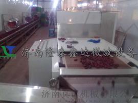 隆泰鑫达LT-12KW隧道式微波红枣烘干熟化设备