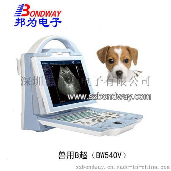 促销 宠物B超 10.4寸LED显示器 自带电池 充电功能 USB接口 超大内存 兽用B超 兽用医疗设备