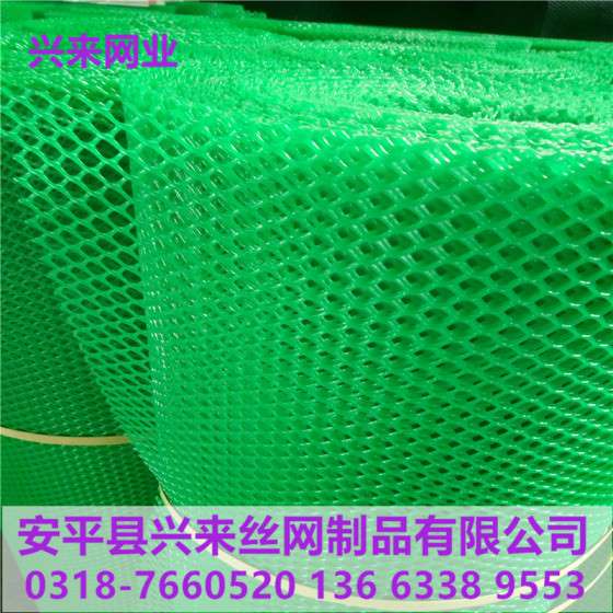 pp塑料平网，小鸡床垫塑料网，水产隔离网厂家
