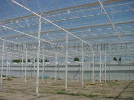 内蒙古畜牧养殖大棚建造