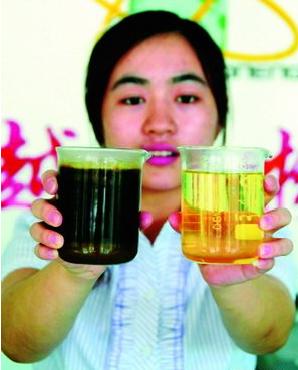 变废为宝“地沟油”成生物柴油 
