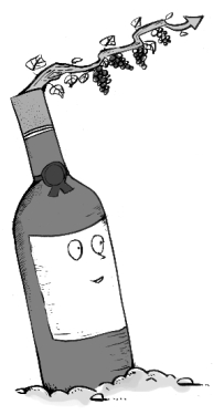 有机葡萄酒市场前景大好 
