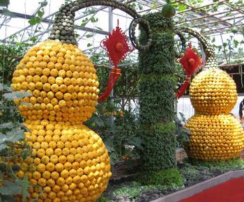 2013寿光蔬菜博览会展现科技风采 