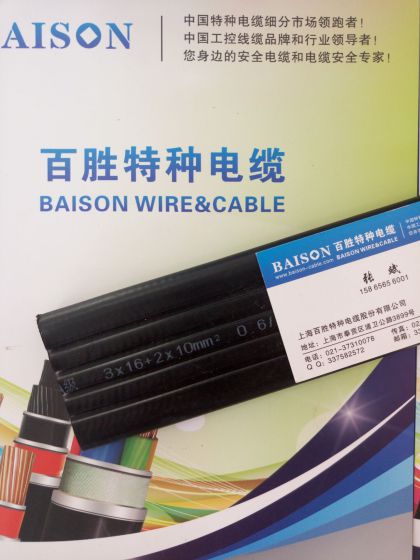 供应【BAISON百胜】YFFB3*16+2*10行车起重机扁电缆厂家直销