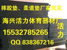 运动垫子摔跤垫|摔跤垫、摔跤垫子厂家供应|摔跤垫批价格