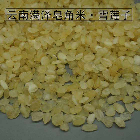 云南满泽皂角米批发市场，雪莲子皂角米的价格，哪里有卖，多少钱一斤