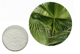 慈缘现货供应 25%脂肪酸 锯叶棕提取物 脂肪酸25%-45%