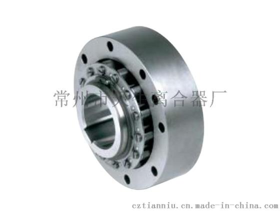 RSCI 180-300逆止器