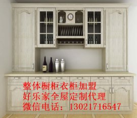 山东全屋定制家具品牌好过独自创业，好乐家加盟代理优选！