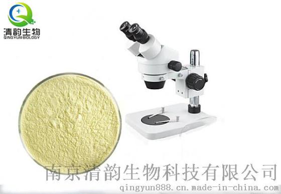 绞股蓝皂苷94987-08-3