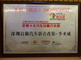 专业技术让您的爱车更加有个性瑞典DLS启籁汽车音响改装比亚迪深圳福田店