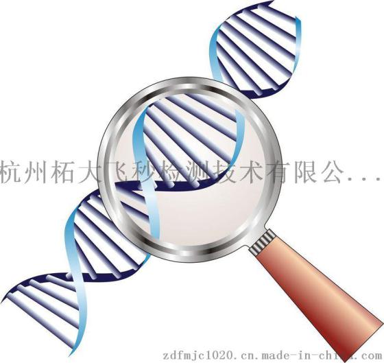 浙江杭州家具漆成分分析